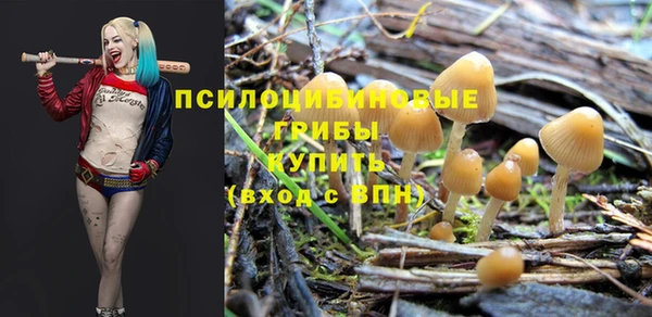 скорость Семикаракорск